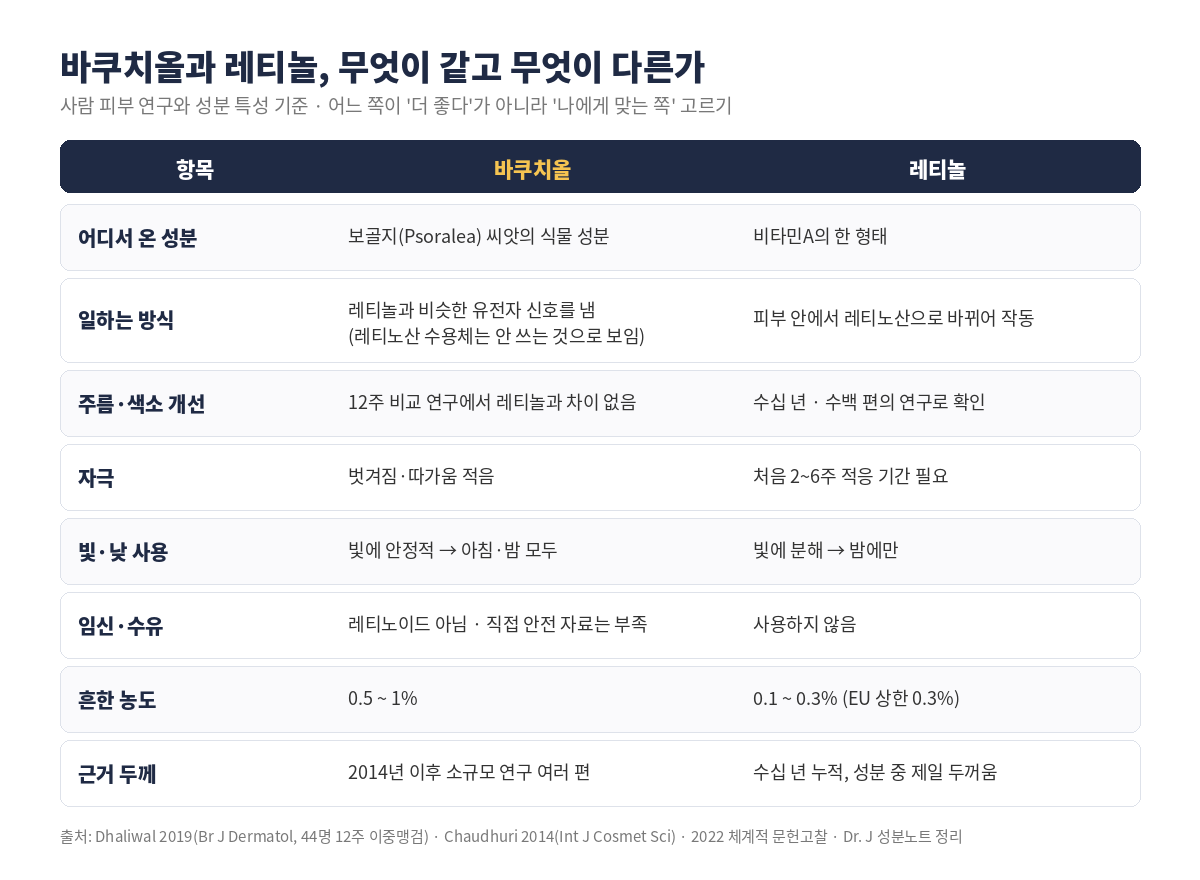 바쿠치올과 레티놀 비교표 – 출처, 일하는 방식, 주름·색소 개선, 자극, 빛·낮 사용, 임신·수유, 흔한 농도, 근거 두께