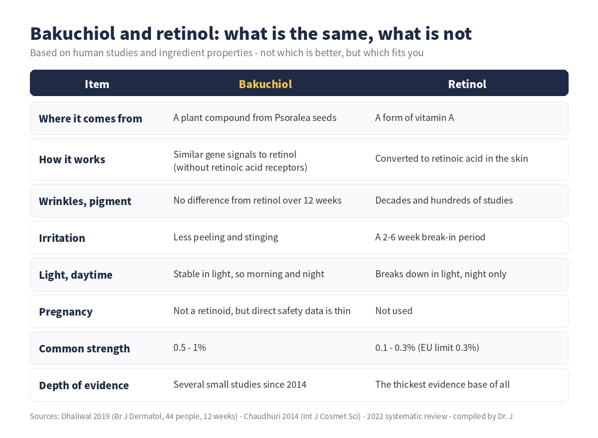 Bakuchiol versus retinol comparison table - origin, mechanism, wrinkle and pigment results, irritation, daytime use, pregnancy, common strength and depth of evidence