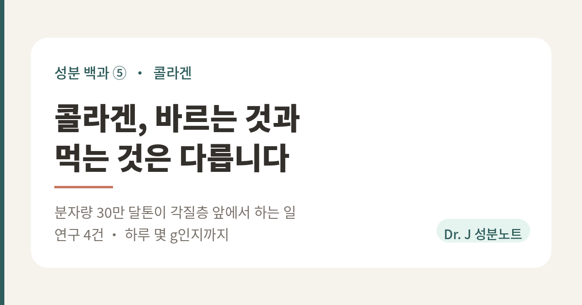 콜라겐 바르는 것과 먹는 것은 다릅니다 표지 이미지. 성분 백과 5편, 분자량 30만 달톤인 콜라겐이 각질층 앞에서 하는 일과 먹는 콜라겐 연구 4건을 정리한 Dr. J 성분노트 글의 표지.